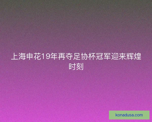 上海申花19年再夺足协杯冠军迎来辉煌时刻